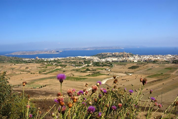 Malta Panorama